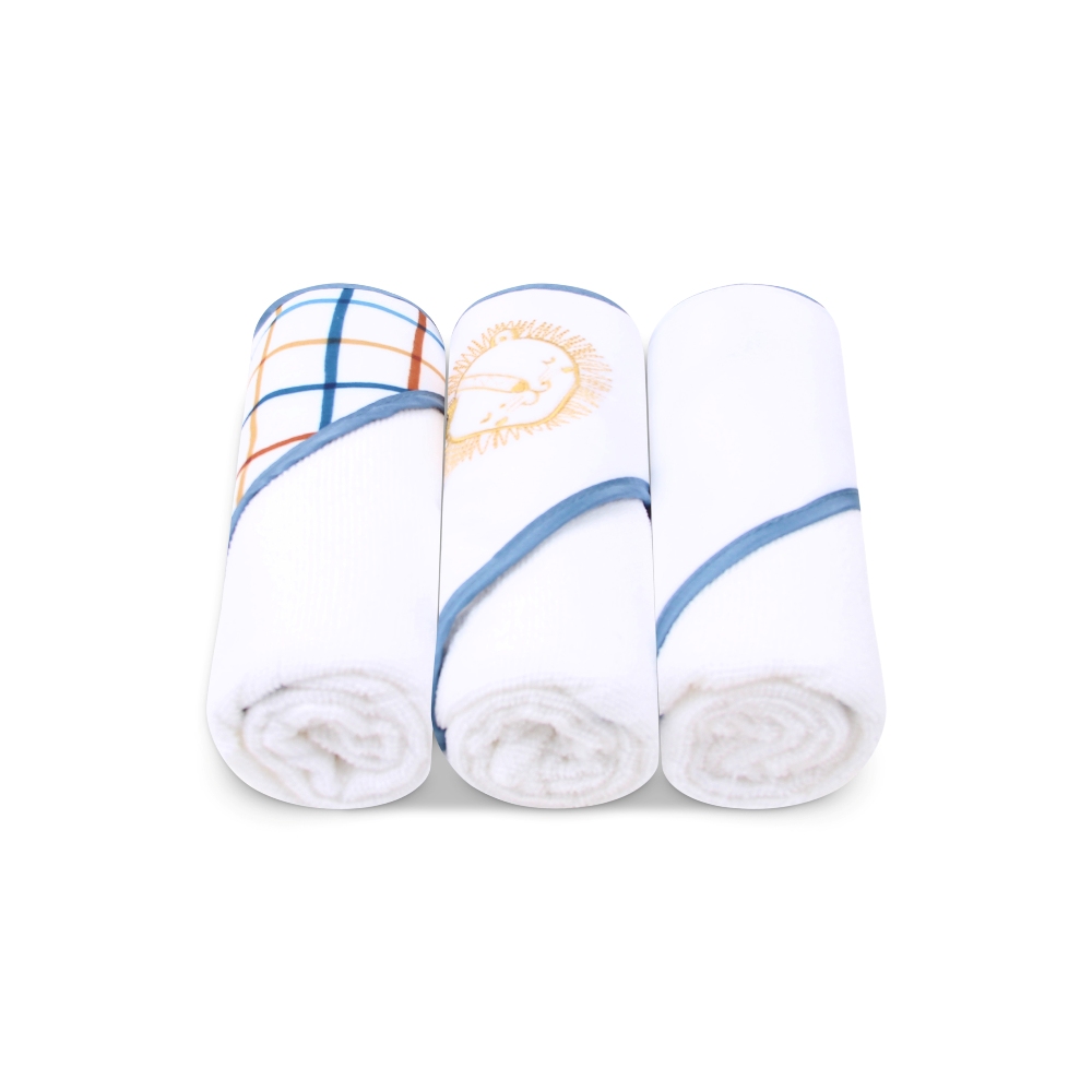 Mother's Choice 3-Pc Baby Hooded Towel Set (Lion)